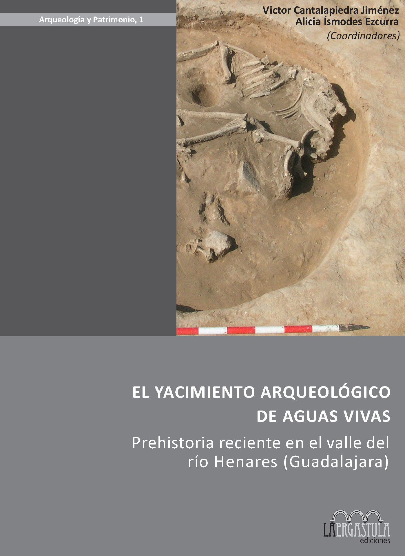 Portada libro El yacimiento arqueológico de Aguas Vivas. Prehistoria reciente en el valle del río Henares (Guadalajara)